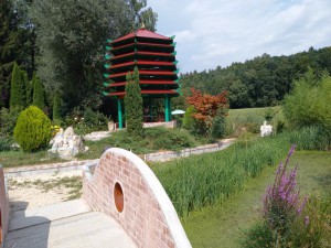 2025-09-09 033 (800x600)